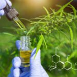 Sous quelles formes consommer le CBD pour profiter de ses avantages ?