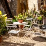 Et si on arrêtait d’arroser ? Ces plantes méditerranéennes qui n’ont besoin de personne