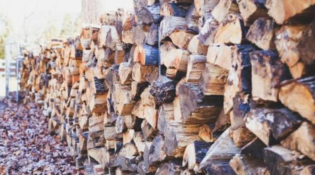 mérule bois de chauffage