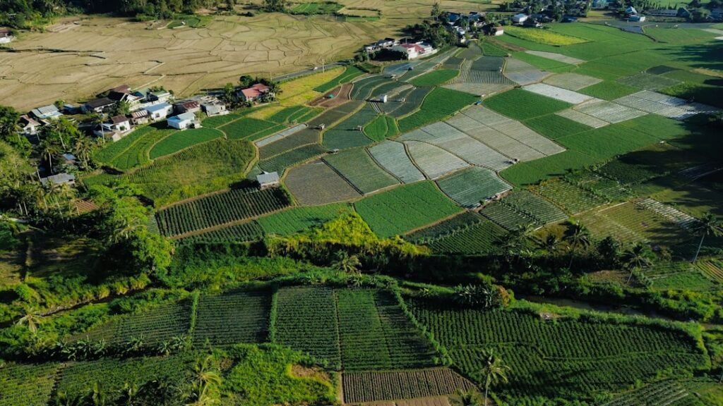 découvrez tout sur la location de terres agricoles : conditions, avantages, et conseils pour optimiser l'exploitation de vos terres en toute légalité.