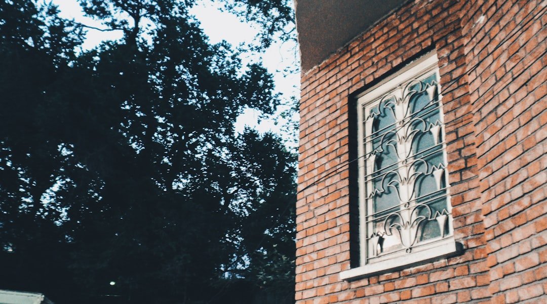 grille de sécurité robuste et fiable pour protéger votre maison ou votre commerce contre les intrusions. installation facile et design adapté à tous les styles.