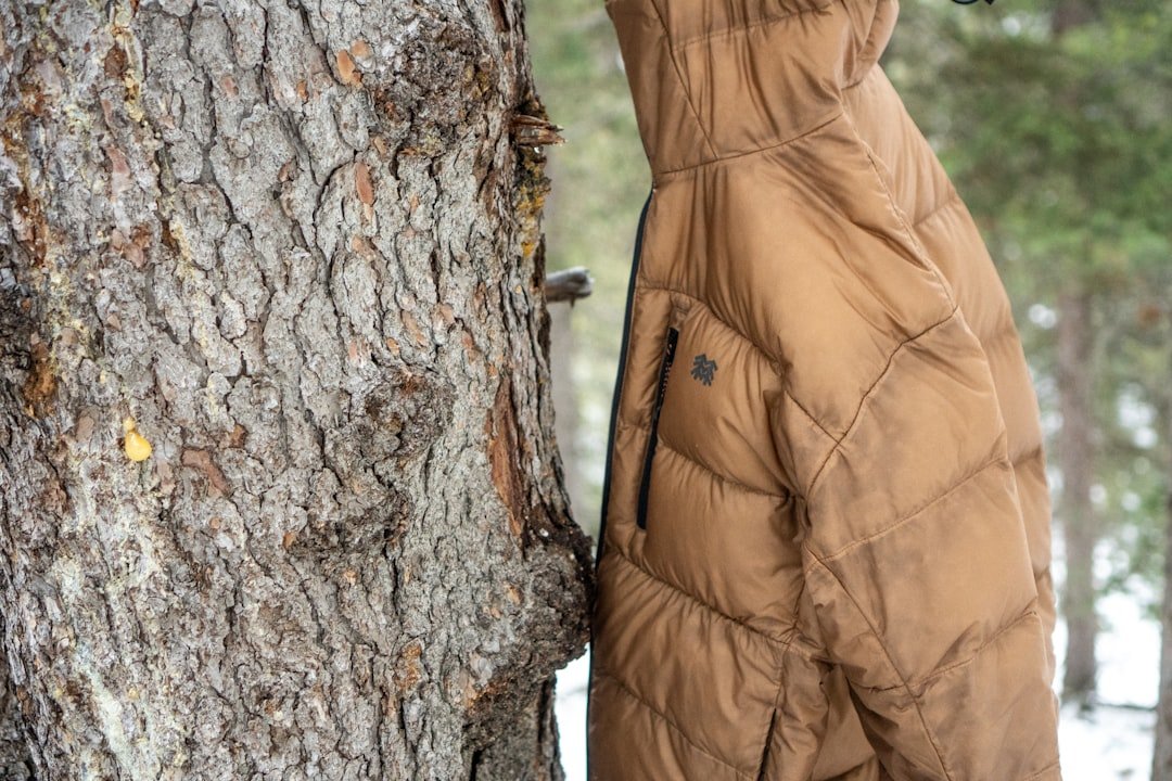 découvrez les solutions d'isolation thermique pour améliorer le confort de votre habitation et réduire vos consommations énergétiques.