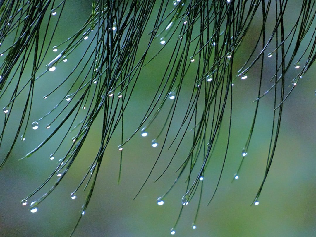 découvrez tout sur l'humidité : définition, impact, et conseils pour gérer l'humidité dans votre maison et votre vie quotidienne.