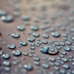 découvrez tout sur l'humidité : ses effets, comment la contrôler et les meilleures solutions pour préserver votre confort et votre santé.