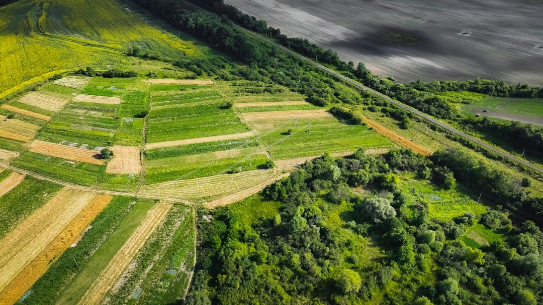 découvrez les modalités de compensation pour les terrains non constructibles et comment optimiser leur valeur.