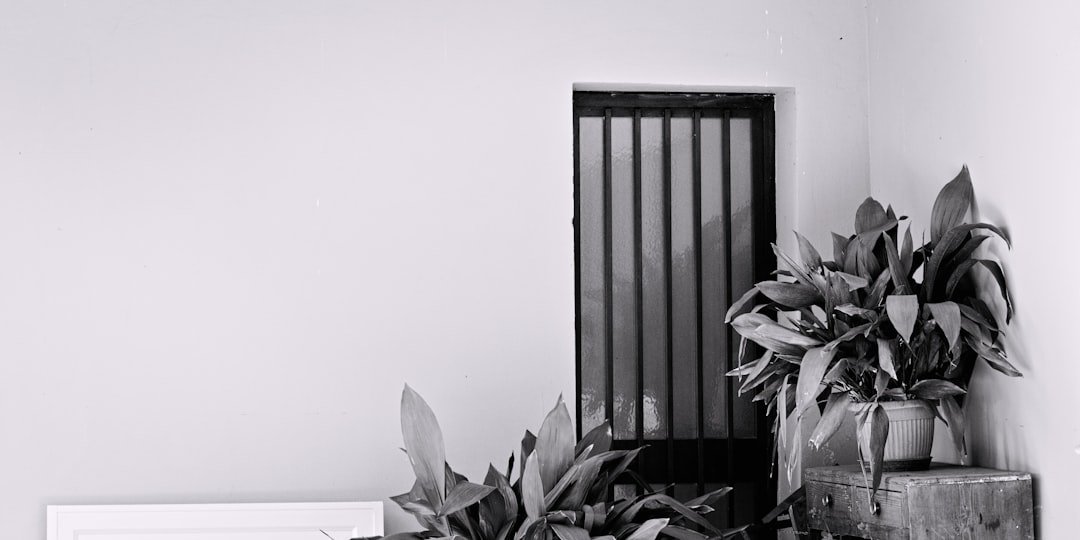 moustiquaire de porte efficace pour protéger votre intérieur des insectes tout en laissant passer l'air frais. installation facile et adapté à toutes les portes.