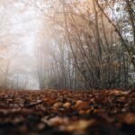 découvrez tout ce qu'il faut savoir sur l'humidité : définition, effets, et conseils pour gérer le taux d'humidité dans votre environnement.
