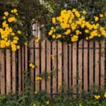 kit de clôture en aluminium facile à installer, durable et esthétique, idéal pour sécuriser et embellir votre jardin ou votre propriété.