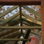 découvrez comment construire une charpente de toit diy étape par étape, avec des conseils pratiques et des matériaux adaptés pour un projet réussi.