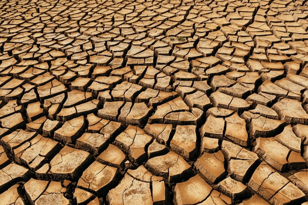 découvrez des méthodes efficaces pour la prévention de la mérule et des dégâts du bois causés par la pourriture sèche. protégez votre maison durablement.