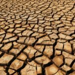 découvrez des méthodes efficaces pour la prévention de la mérule et des dégâts du bois causés par la pourriture sèche. protégez votre maison durablement.