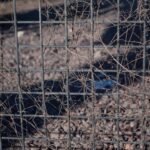 découvrez notre grille galvanisée durable, idéale pour des applications industrielles et de construction, offrant une résistance optimale à la corrosion et un entretien facile.