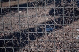 découvrez notre grille galvanisée durable, idéale pour des applications industrielles et de construction, offrant une résistance optimale à la corrosion et un entretien facile.