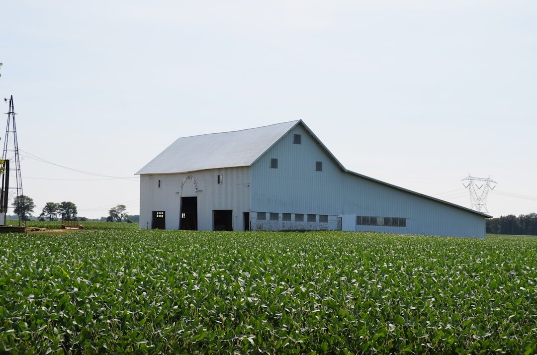 découvrez les tarifs de location au mètre carré pour entrepôts agricoles, adaptés à vos besoins de stockage et logistique.