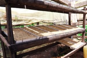 découvrez nos solutions efficaces pour le séchage rapide et optimal de vos produits et matériaux.