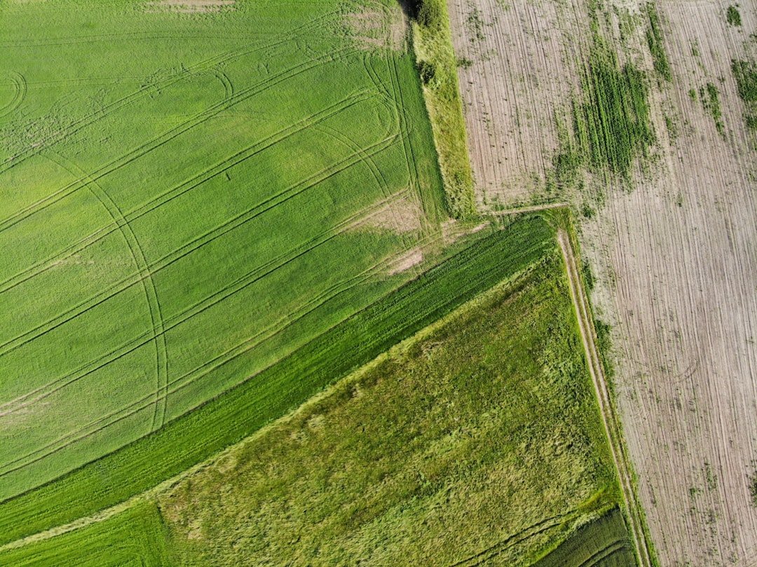 location de terres agricoles : trouvez facilement des terrains adaptés à vos besoins pour cultiver et développer votre activité agricole.