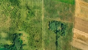 location de terres agricoles : trouvez facilement des terrains à louer pour vos activités agricoles, adaptés à vos besoins et votre culture.