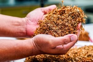 éliminez efficacement l'odeur de tabac grâce à nos solutions professionnelles de désodorisation. profitez d'un air pur et frais dans votre intérieur.