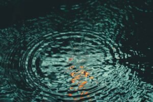 découvrez les causes, les risques et les solutions pour l'infiltration d'eau afin de protéger votre maison des dommages liés à l'humidité.