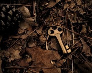 découvrez tout ce qu'il faut savoir sur le terme 'key' : définitions, utilisations et significations dans différents contextes.