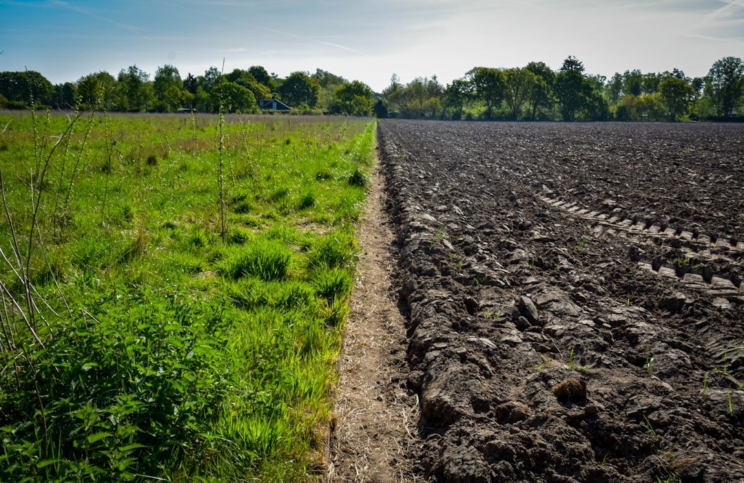 découvrez les principes et les enjeux de l'utilisation des terres, comprenant la gestion durable, l'aménagement du territoire et l'impact sur l'environnement.
