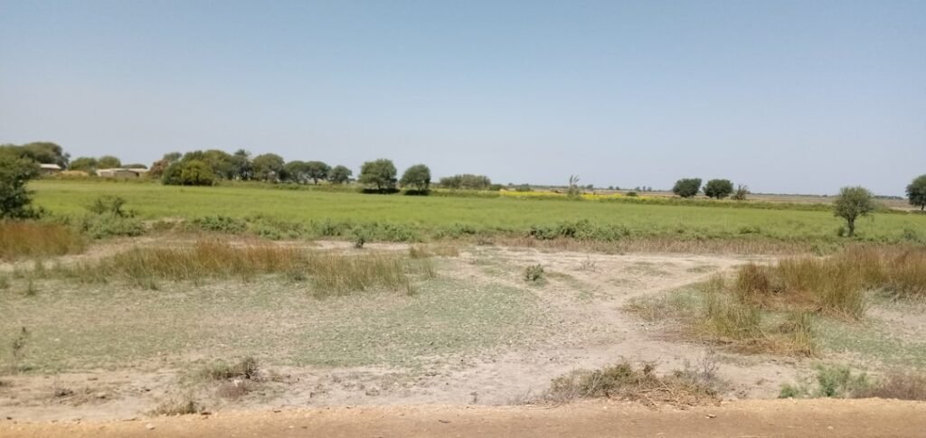 découvrez les principes et enjeux de l'utilisation des sols, incluant la planification urbaine, l'agriculture, la conservation et le développement durable.
