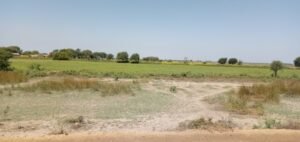 découvrez les principes et enjeux de l'utilisation des sols, incluant la planification urbaine, l'agriculture, la conservation et le développement durable.