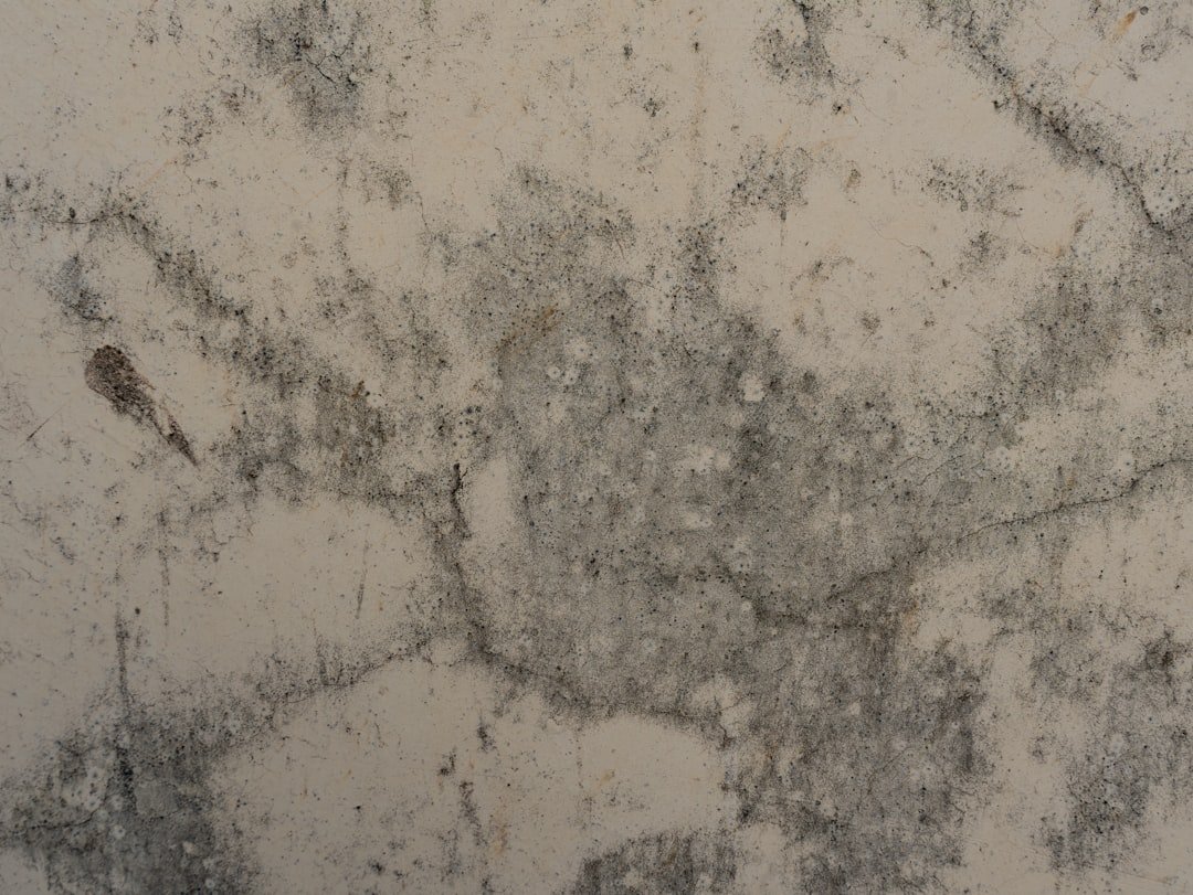découvrez les méthodes efficaces pour sécher un mur humide rapidement et prévenir les problèmes d'humidité et de moisissure.