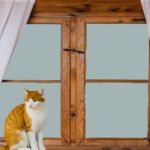 Quel matériau choisir pour ses fenêtres ? Le guide comparatif 