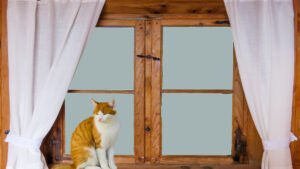Quel matériau choisir pour ses fenêtres ? Le guide comparatif